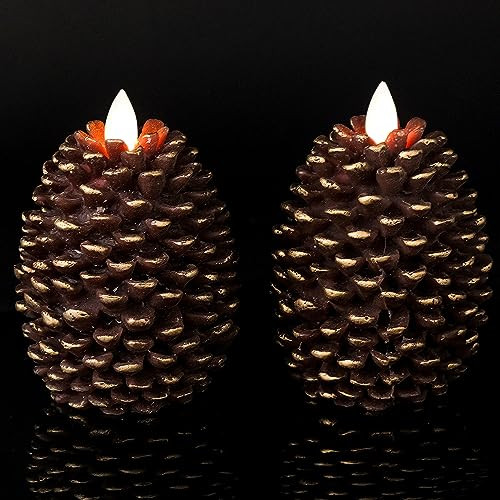 Wondise Flameless Candles with Timer, Battery Operated Flickering Wick Real Wax Pine Cone Candles for Holiday Indoor Decoration, Set of 2, Brown(D3.5 x H4.7 Inch) | Amazon (US)