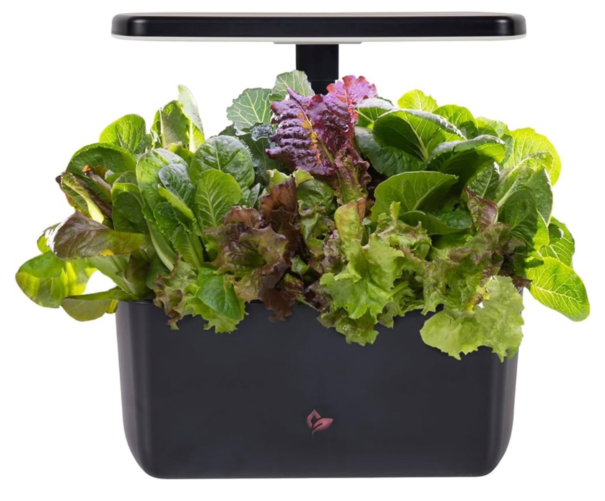 Great gift for mother or MIL
Prime day


#LTKHome #LTKFindsUnder100 #LTKSaleAlert