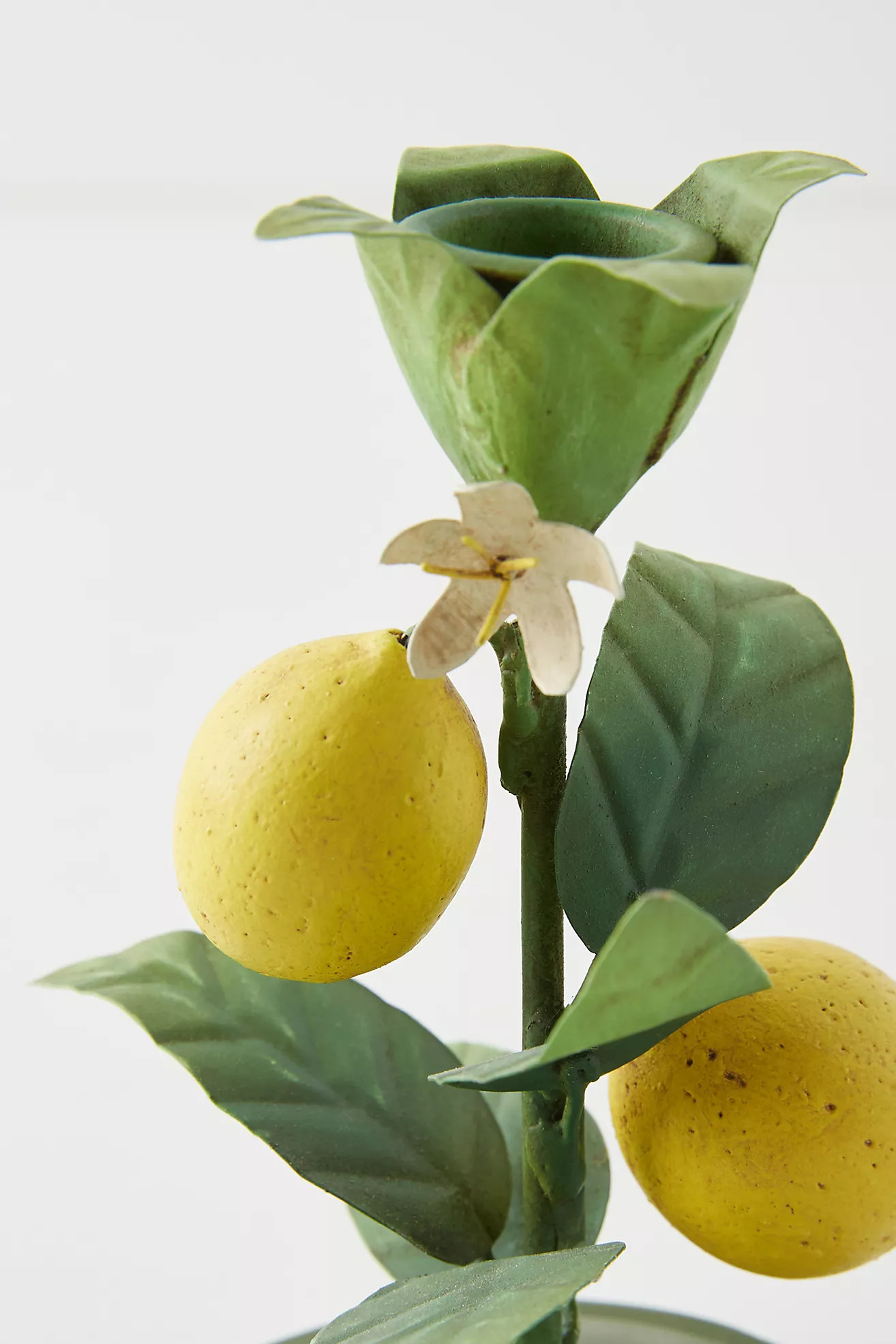 Lemon Taper Candlestick | Anthropologie (US)