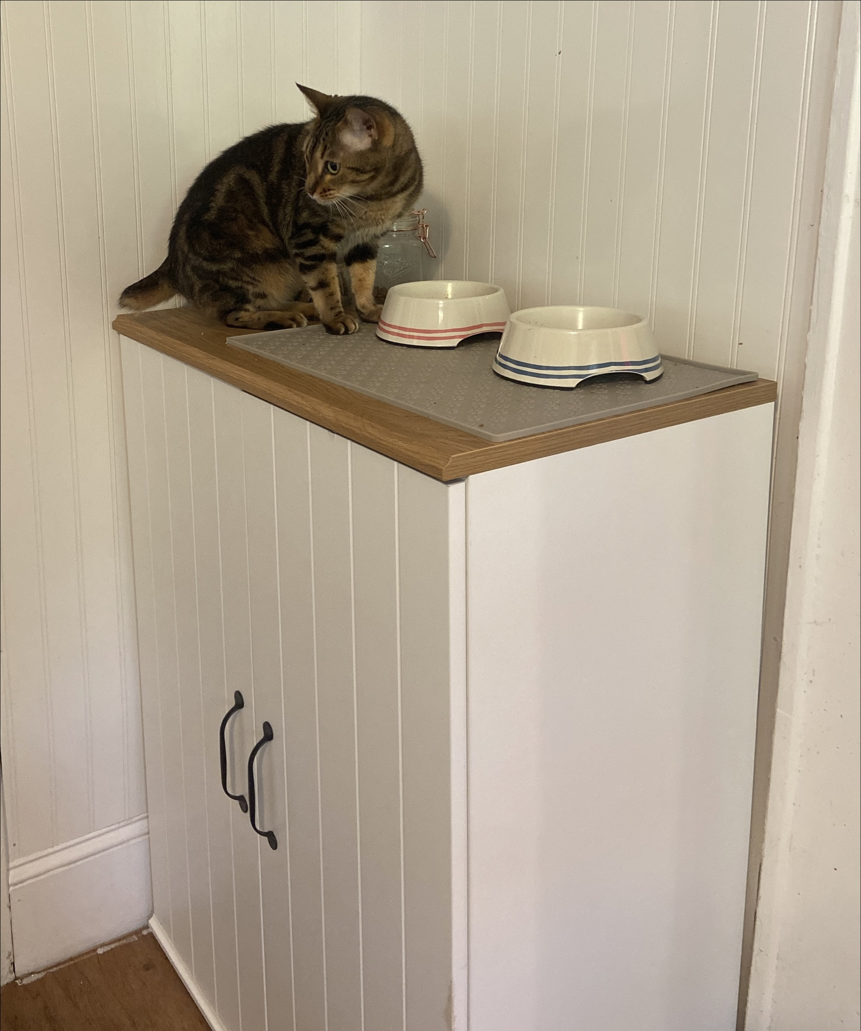 Pet feeding station. This cabinet is a great new addition to our kitchen! Now we can store and organize all of cats’ and dog’s food, leashes, clothing and more. Similar products listed when applicable. #ltkpets #pets 

#LTKHome