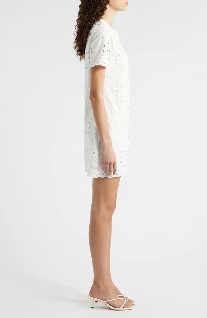 Punch Out Cotton Eyelet Shift Minidress | Nordstrom
