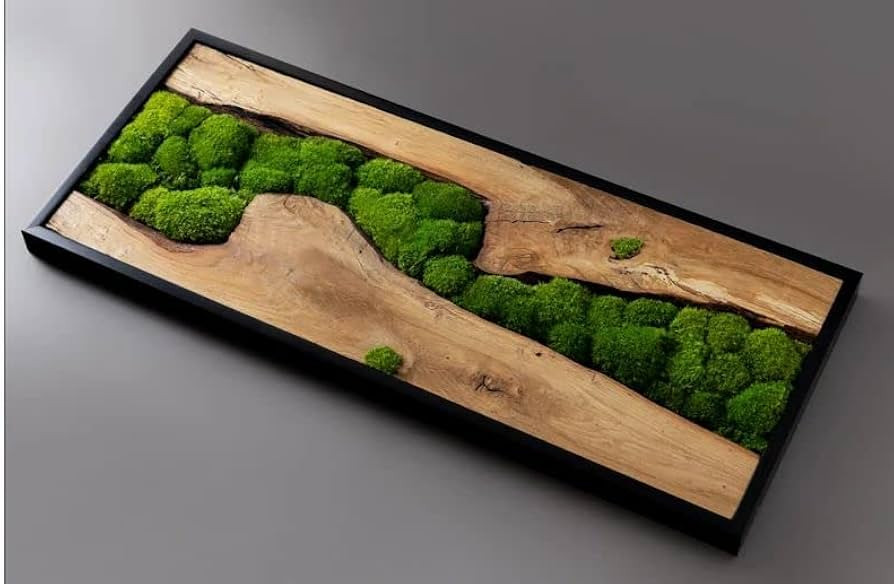Real Preserved Moss Wall Art with Natural Wood.No Upkeep Needed Eco-Natural Green Wall Art. Handm... | Amazon (US)