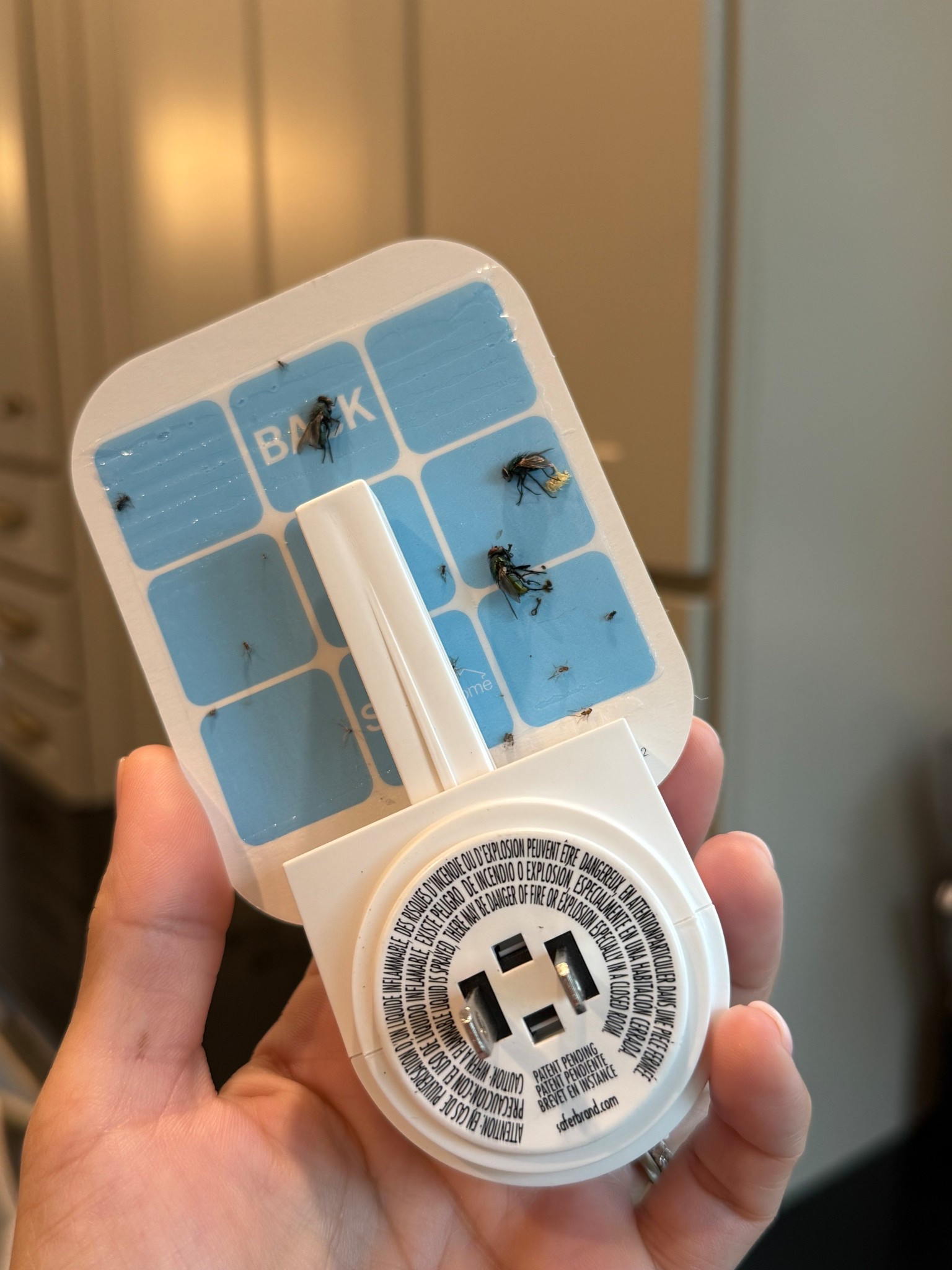 The only indoor fly trap I’ll use! And I’ve tested a bunch!🪰🪰

#LTKHome #LTKSeasonal #LTKFindsUnder50