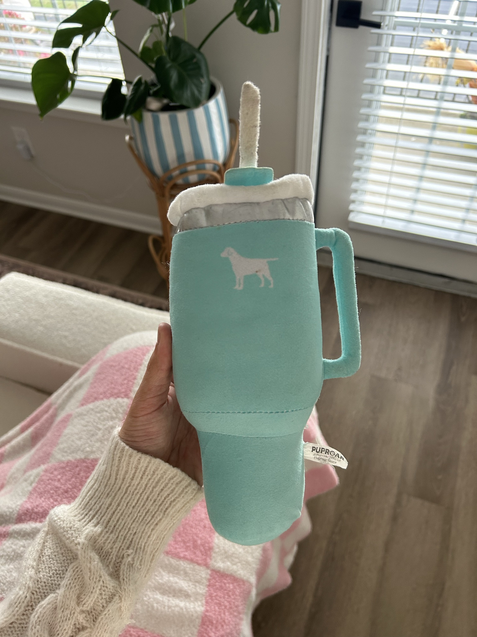 the cutest tumbler cup for Daisy to match mine!🩵☁️✨

#LTKPets #LTKHoliday #LTKGiftGuide
