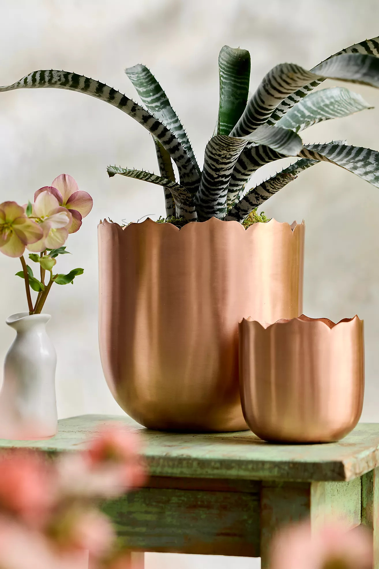 Lotus Edge Polished Copper Planter | Terrain