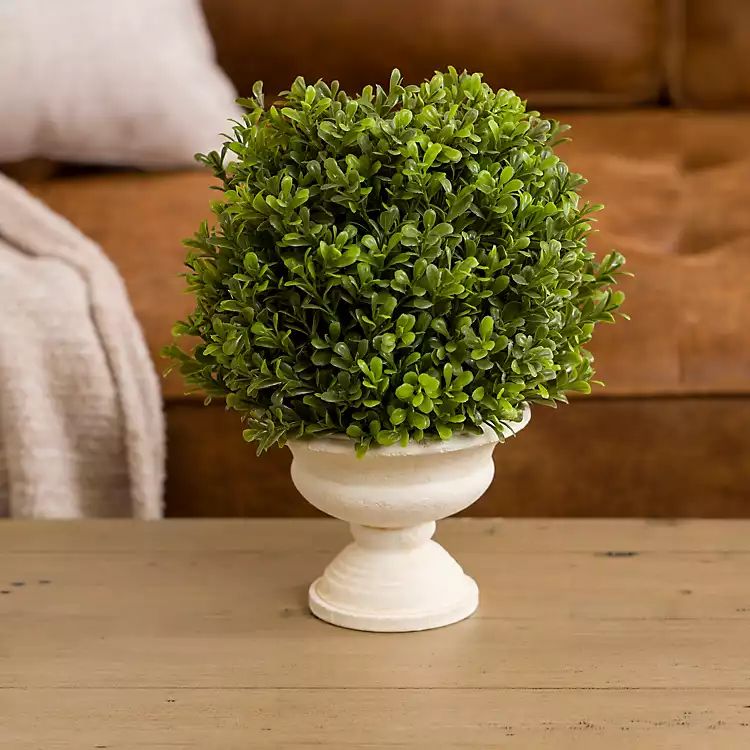 New! Boxwood Arrangement in Cream Pot | Kirkland's Home