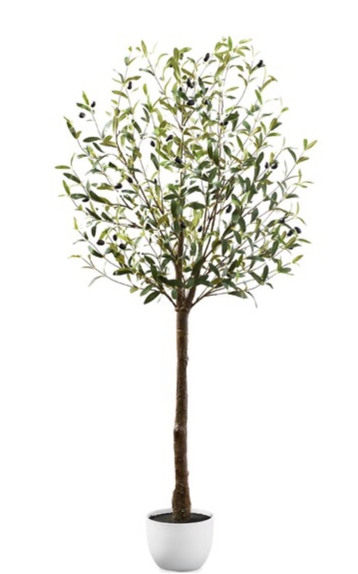 Thier prices on faux olive trees are unbeatable 

#LTKHome #LTKSeasonal #LTKSaleAlert