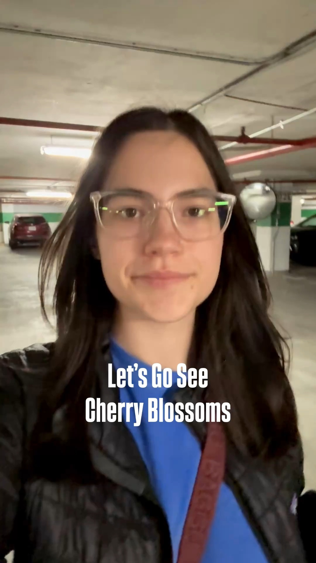 Adventures post my 9to5 in DC to see the cherry blossoms! 