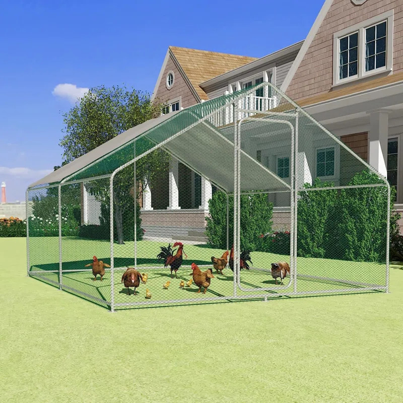 Gooding Metal Chicken Run Coop, Walk-in Poultry Cage with Waterproof & Anti-UV Cover | Wayfair North America