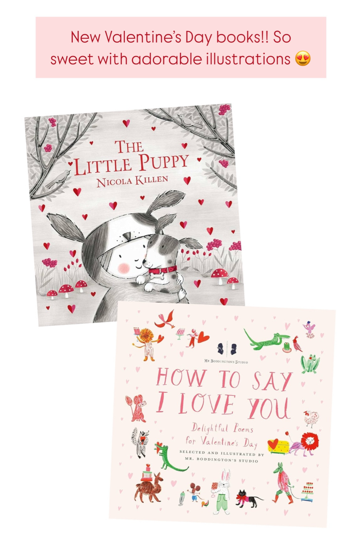 Valentine’s Day picture books!

#LTKSeasonal #LTKHome #LTKKids