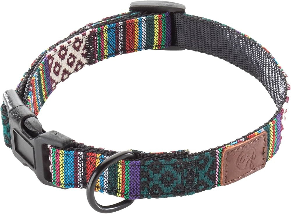 Embark Urban Dog Collar – Dog Collar Stylish & Durable Nylon Dog Collar for Large Dogs, Small D... | Amazon (US)