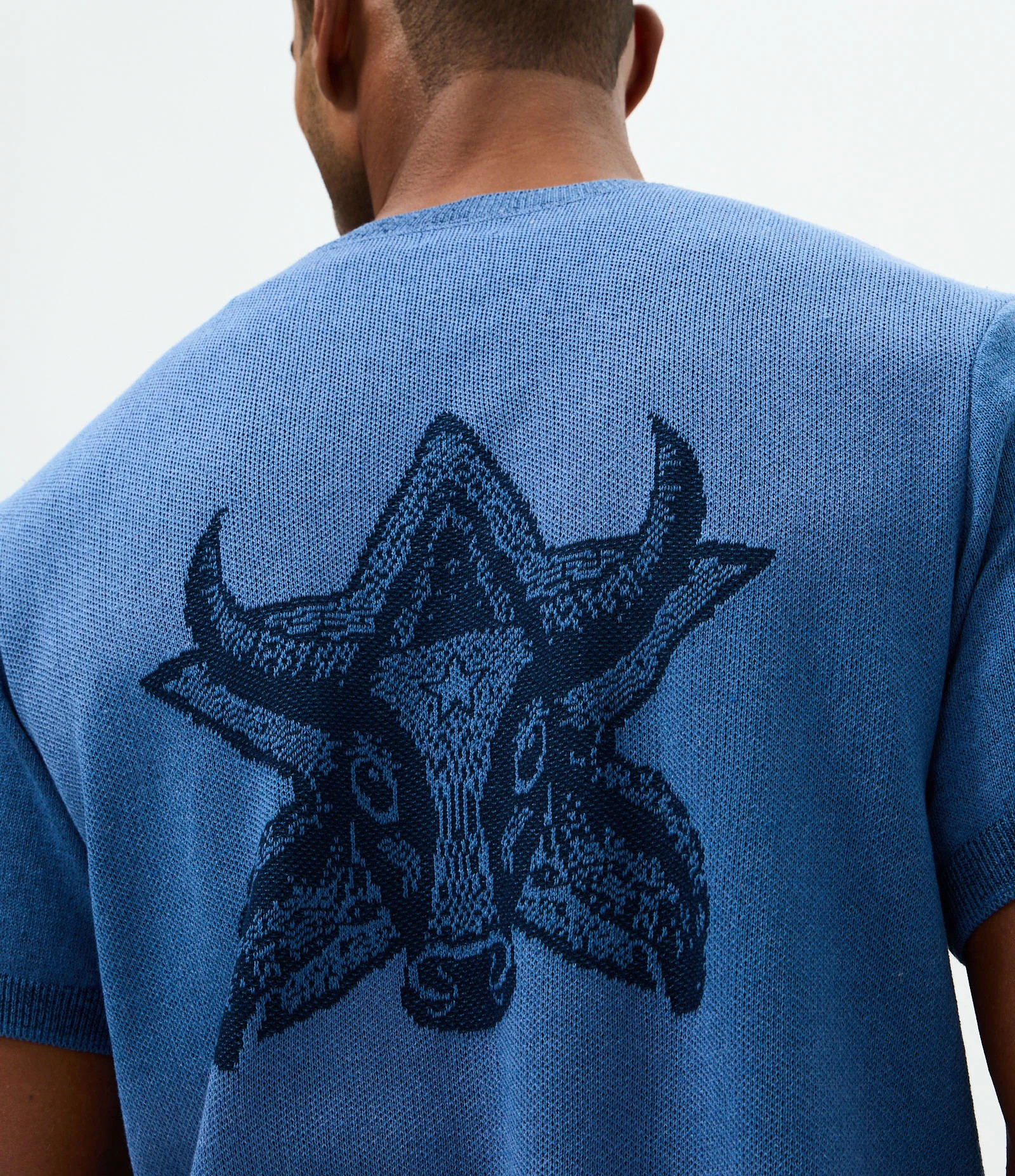 Camiseta Tricô Jacquard Boi Caprichoso Azul - Lojas Renner | Renner (BR)