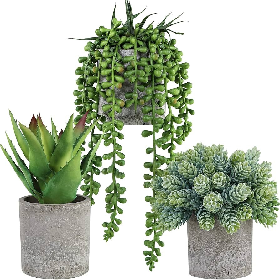 Winlyn Set of 3 Mini Potted Succulents Artificial String of Pearls Aloe Hops Succulent Plants in ... | Amazon (US)