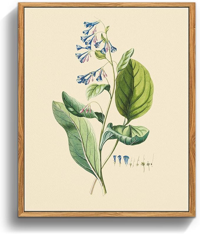 crmotu Vintage Framed Wall Art, Botanical Floral Vintage Wall Decor, Nature Plant Rustic Farmhous... | Amazon (US)