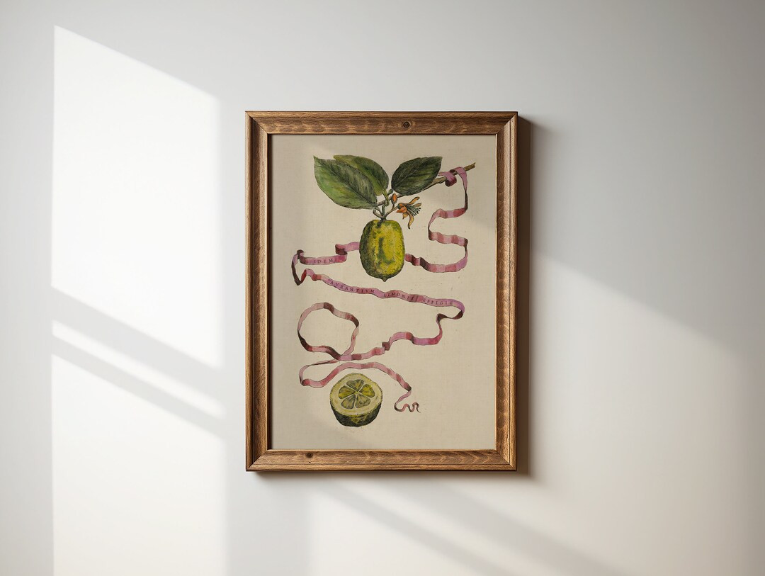 Vintage Limes Still Life Downloadable Print | Botanical Wall Art | Cottage Core Decor Rustic Fine... | Etsy (US)