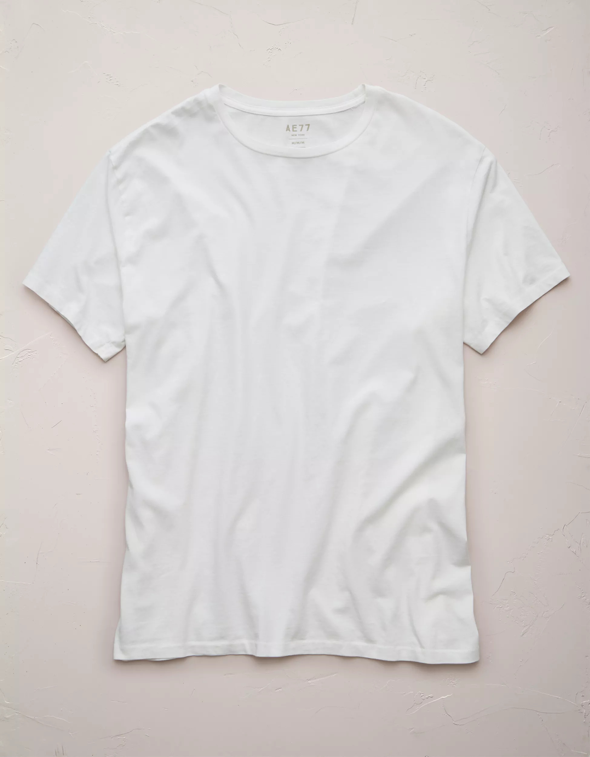 AE77 Premium Classic Tee | American Eagle Outfitters (US & CA)