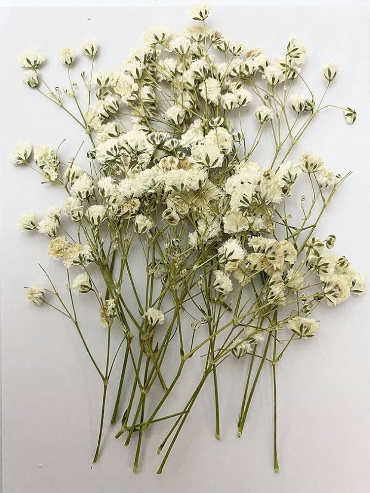 16 pcs White Baby's Breath Real Natural Dried Pressed Flowers for Resin Art Craft DIY | Amazon (US)