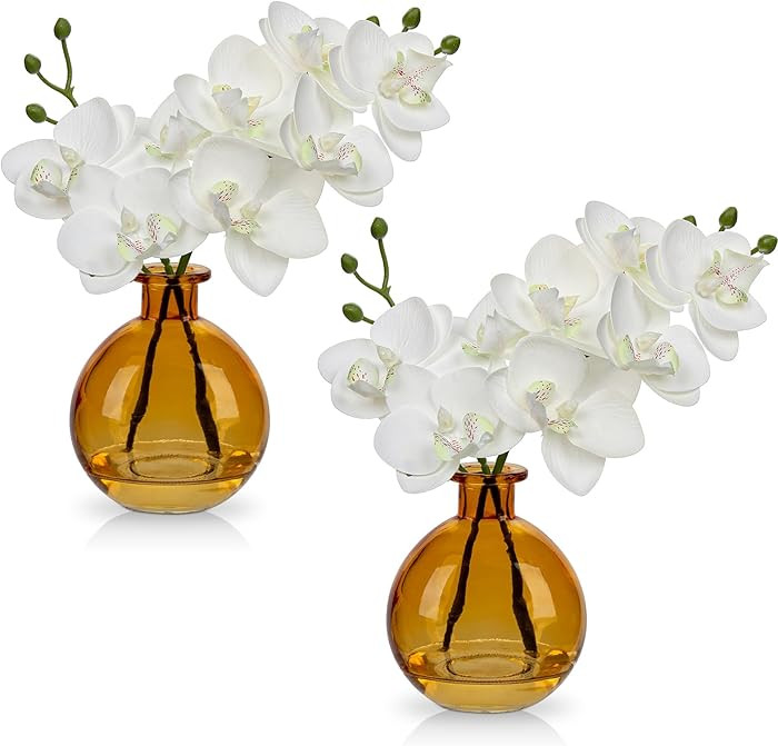 White Orchids Artificial Flowers Faux Orchid Arrangement with Amber Glass Vase Set of 2 Real Touc... | Amazon (US)