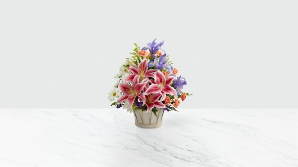 The Wondrous Nature™ Bouquet – Basket Included | ProFlowers / ProPlants