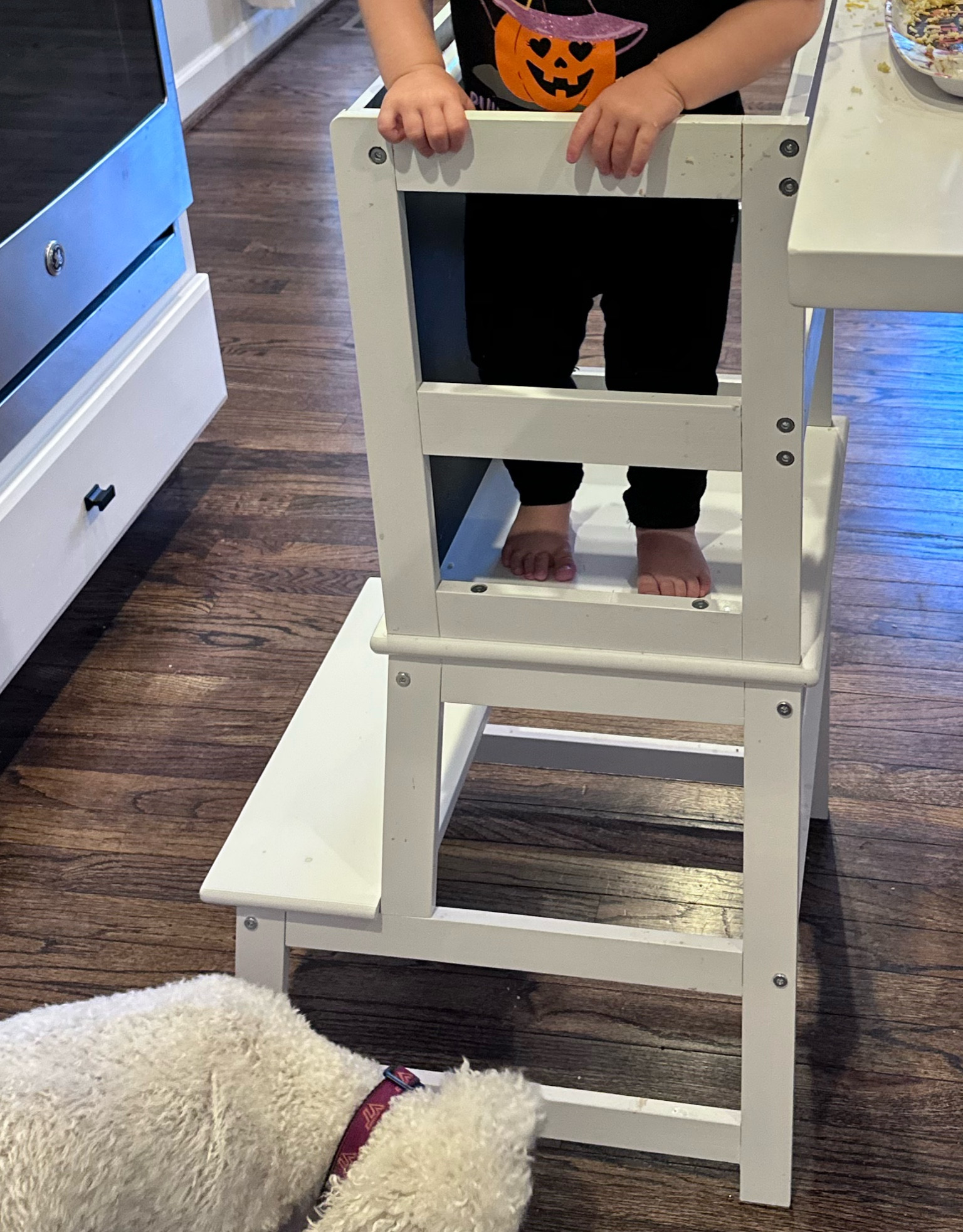 This little toddler counter stool is the best and we are obsessed 

#LTKFamily #LTKKids #LTKBaby