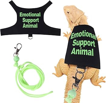 Bearded Dragon Harness and Leash Set Adjustable Reptile Lizard Leash Rope Vest Clothes Starter Ki... | Amazon (US)