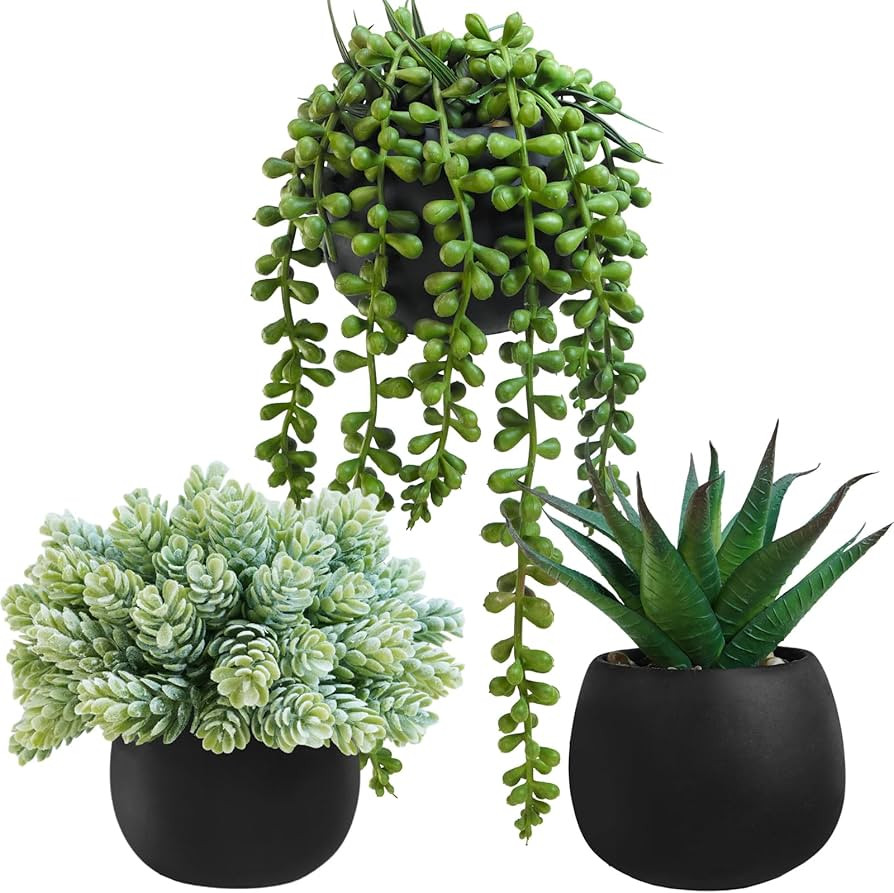 Winlyn Set of 3 Artificial Succulent Plants in Black Concrete Pots Faux Aloe Hops String of Pearl... | Amazon (US)