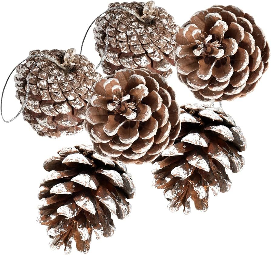 24 PCS Pine Cones for Christmas Tree Snowflake Natural Pinecones Ornament with String Pendant Cra... | Amazon (US)