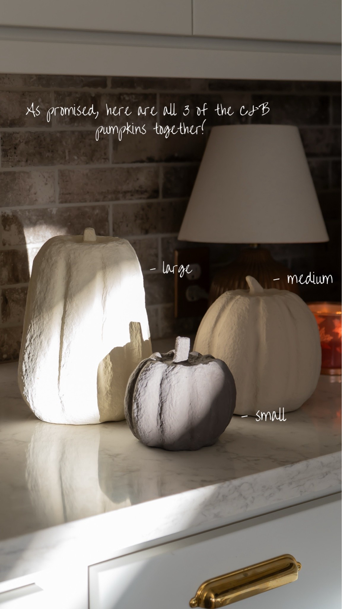 The cutest faux fall pumpkins 🍂🤎

#LTKHome #LTKSeasonal #LTKSaleAlert