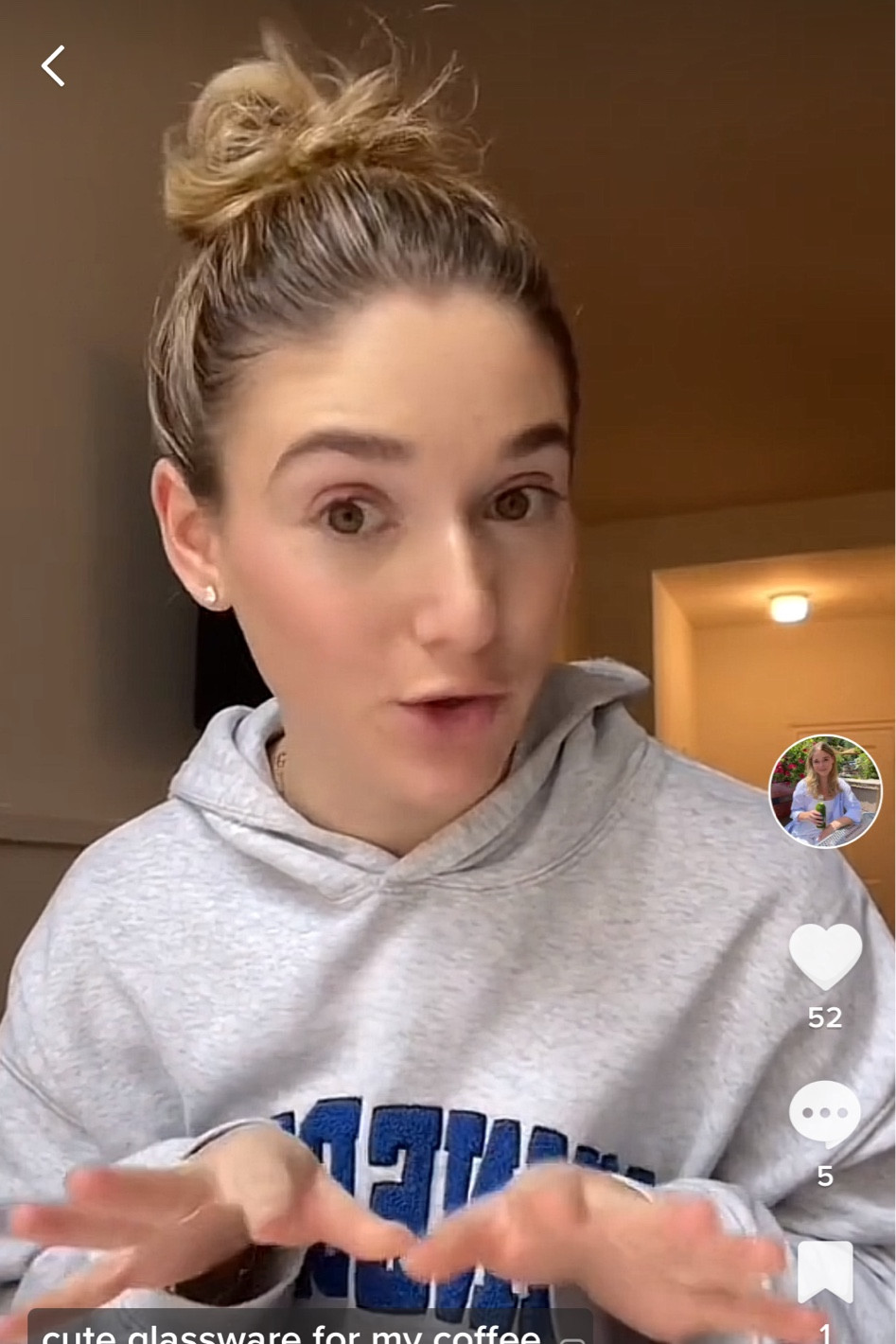 Anine Bing sweatshirt 