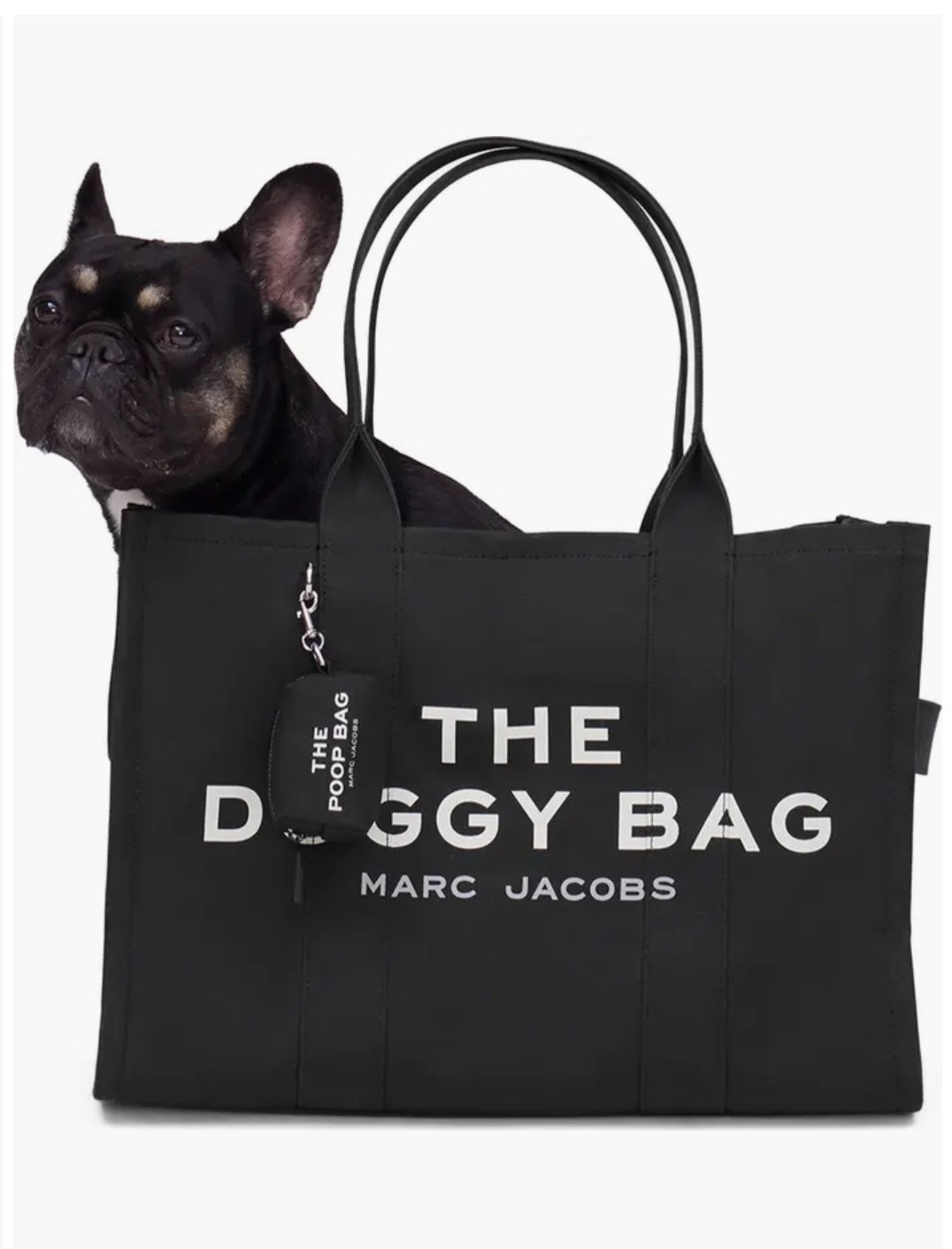 If Roxy was still alive I would buy this bag immediately! 

Dog lover
Pet gift
Dog 

#LTKGiftGuide #LTKHoliday