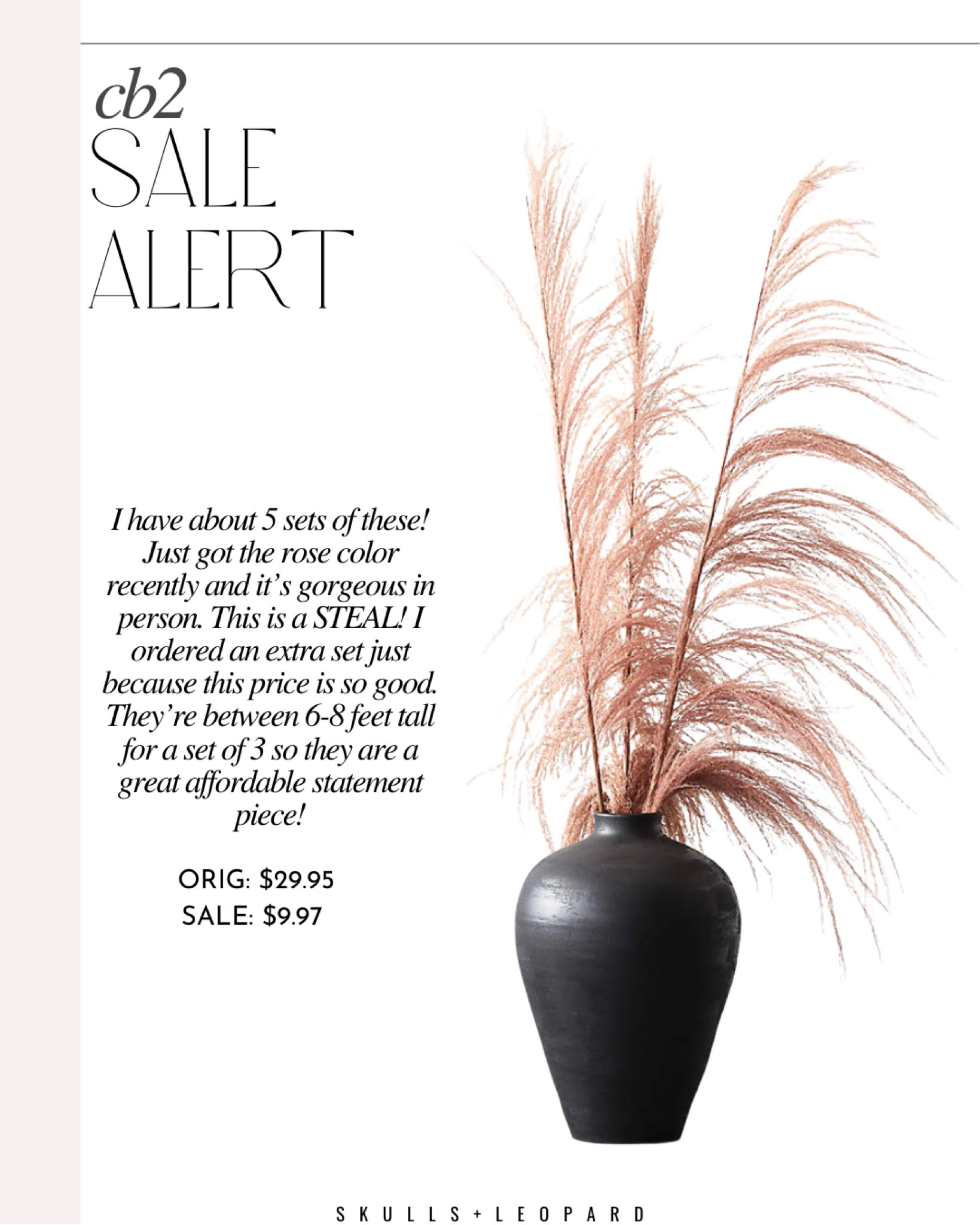 Cb2 sale, cb2 uva stalk, rose uva stalk, tall pampas grass, boho home decor, neutral home decor, neutral style, new year home refresh 

#LTKsalealert #LTKunder50 #LTKhome