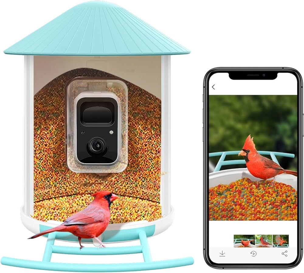 NETVUE Birdfy Smart Bird Feeder with Camera - Auto Capture & Identify 6000+ Species, Free AI Fore... | Amazon (US)
