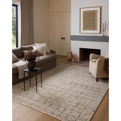 Amber Lewis x Loloi Monty Pebble / Beige Area Rug | Wayfair North America