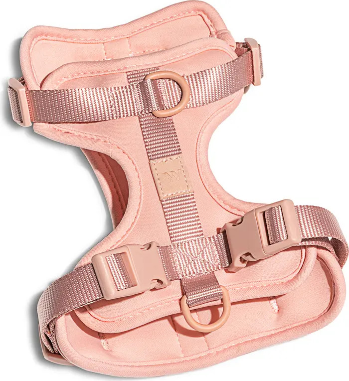 Dog Harness | Nordstrom