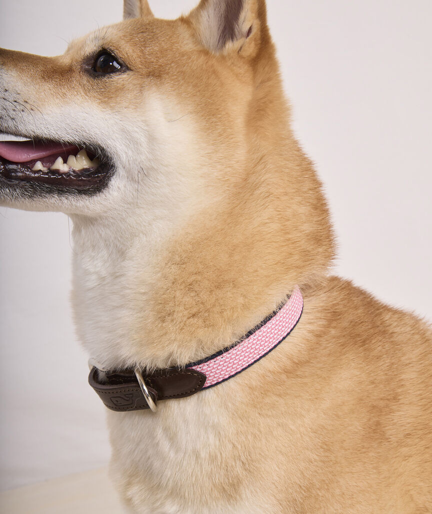 Micro Whale Leather Canvas Club Dog Collar | vineyard vines