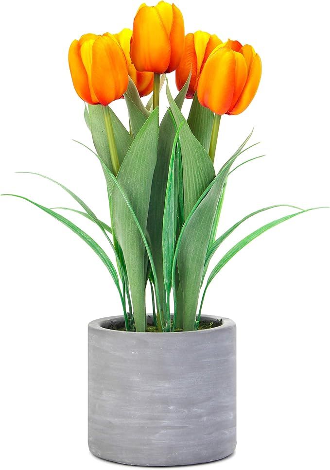Jusdreen 1 Pot Artificial Potted Tulips Flowers with Cement Vase Vivid Tulip Flowers Arrangement ... | Amazon (US)