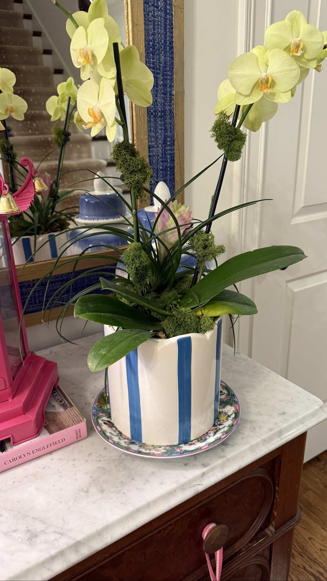 Zhuzhing up a live orchid 🪴 

Cute planter, green moss and orchid clips. Make it look 👀 professional 😆

#LTKmomlife #LTKHome