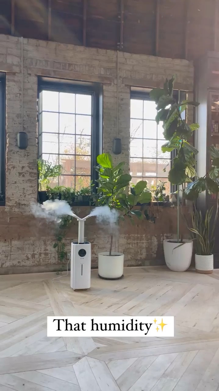 Plants LOVE humidity! The best and most effective way of providing a humid environment (if you live where it’s dry)  is with a humidifier! These are my favs!

#LTKSeasonal #LTKhome #LTKVideo