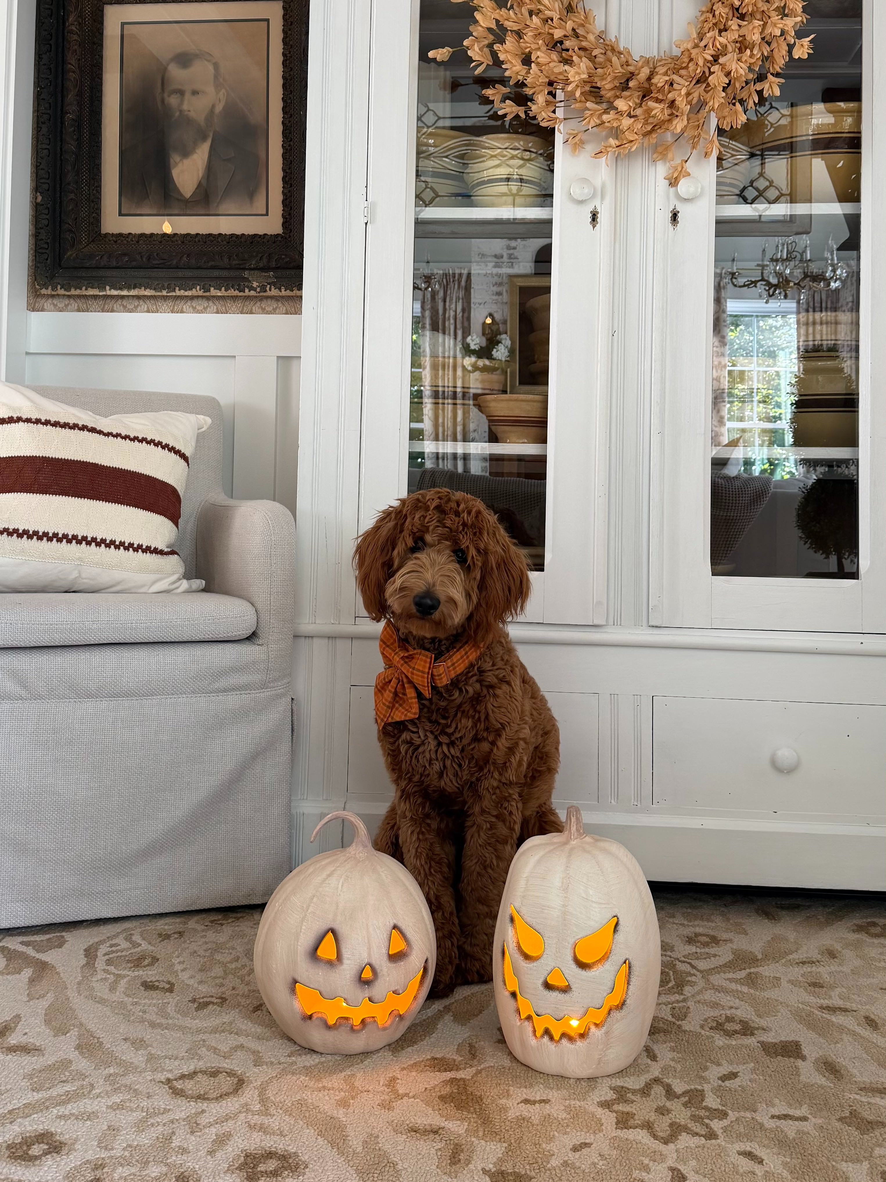 Here are some of our favorite Fall finds for our home decor.  

 #LTKSeasonal #LTKHome