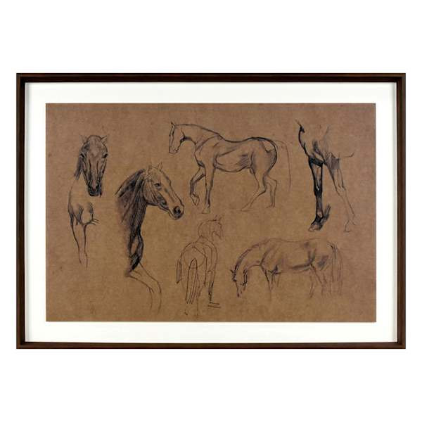 Glass Framed Horse Sketch Study Printed Wall Art, 35x25 | At Home