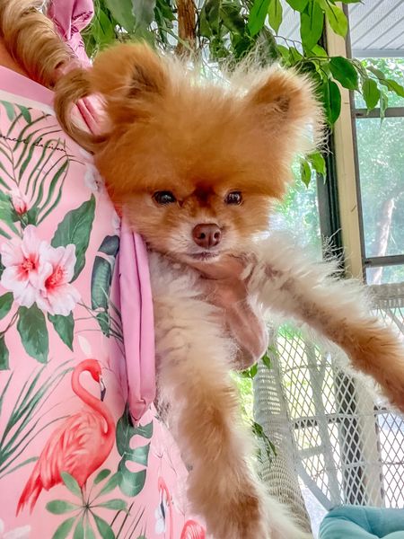 My new pink swimsuit is reversible & Boo approved! We’re headed to the beach, stay tuned for the next pic.🐶⛱️

#LTKfamily #LTKU #LTKswim