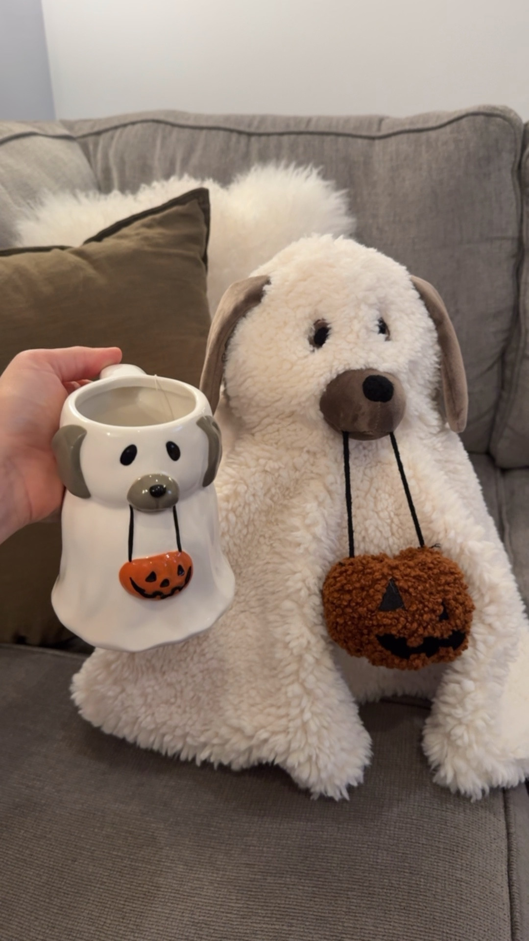 Halloween Favorite 👻🐶

#LTKHalloween