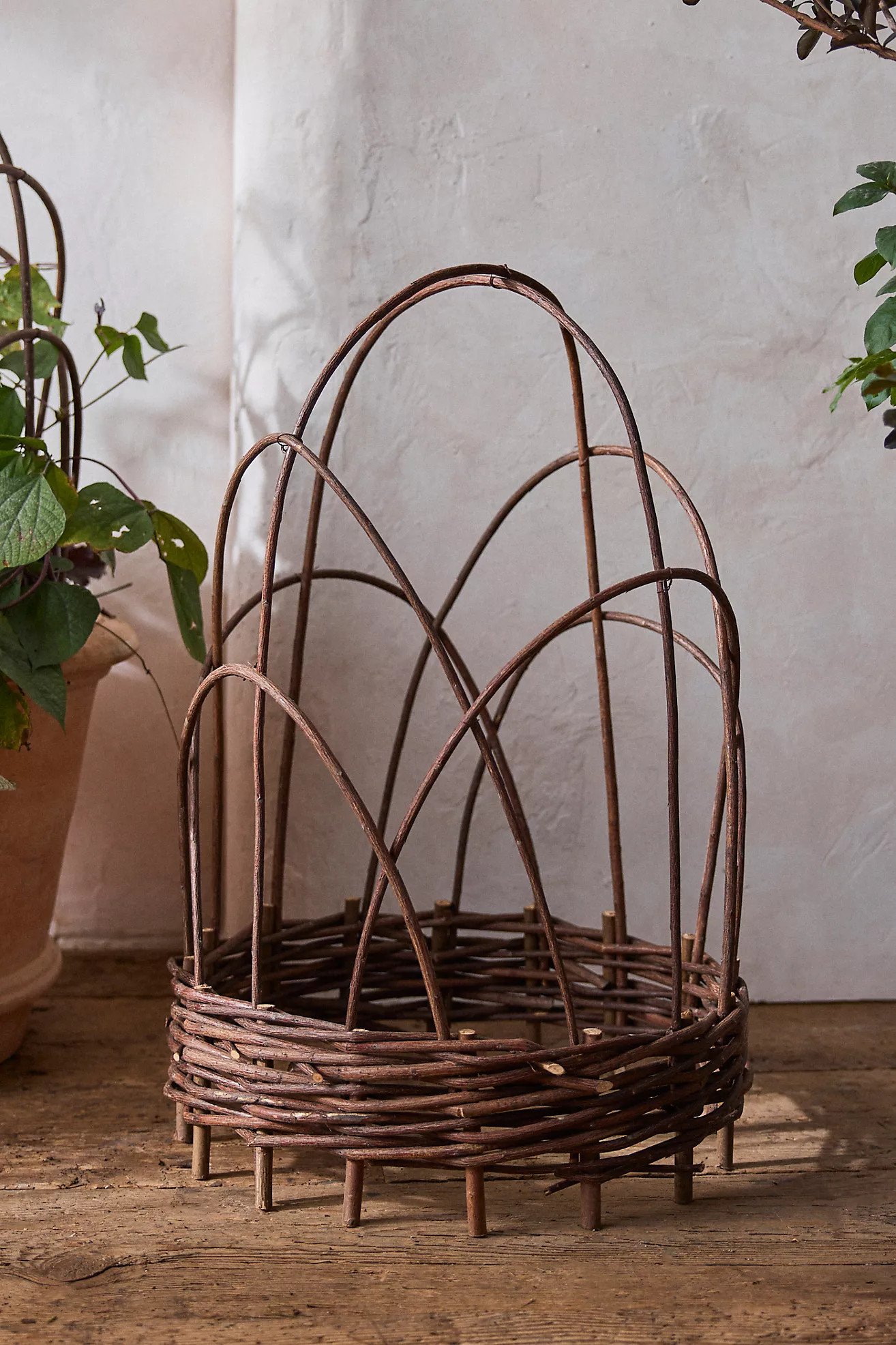 Woven Willow Cloche | Terrain