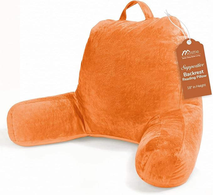 Sasttie Reading Pillow, Velvet Back Pillow for Bed Sitting Up, Adult Back-Rest Support Cushion wi... | Amazon (US)