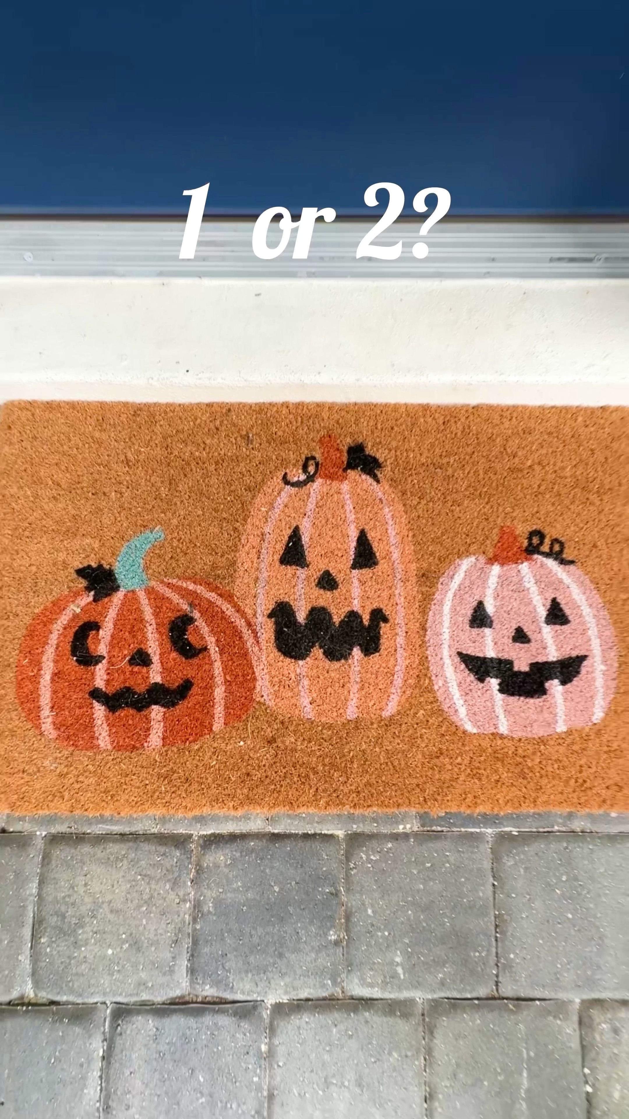 Cute Halloween doormats for the fall / autumnn

#LTKSeasonal #LTKHalloween #LTKHome