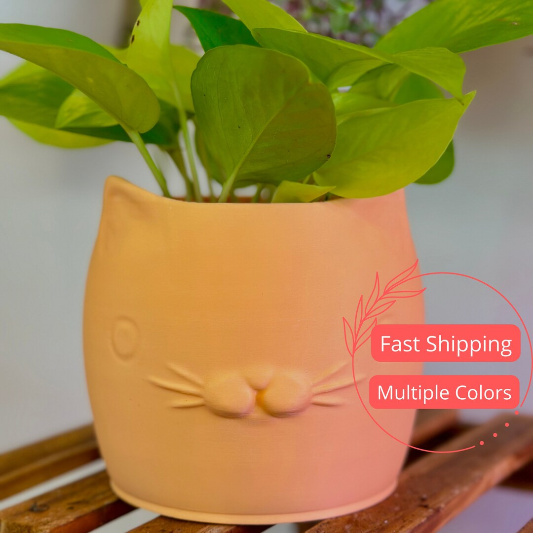 Scottish Fold Cat Planter Pot Plant Pot for Small Houseplants Cute Funny Planters and Pots Cat Pl... | Etsy (US)