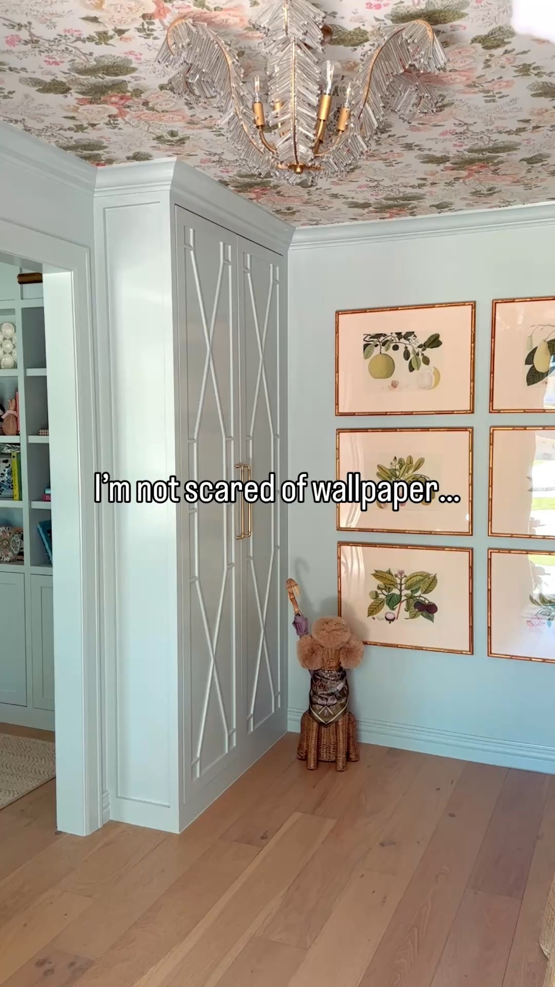 All of the wallpapers in our home 