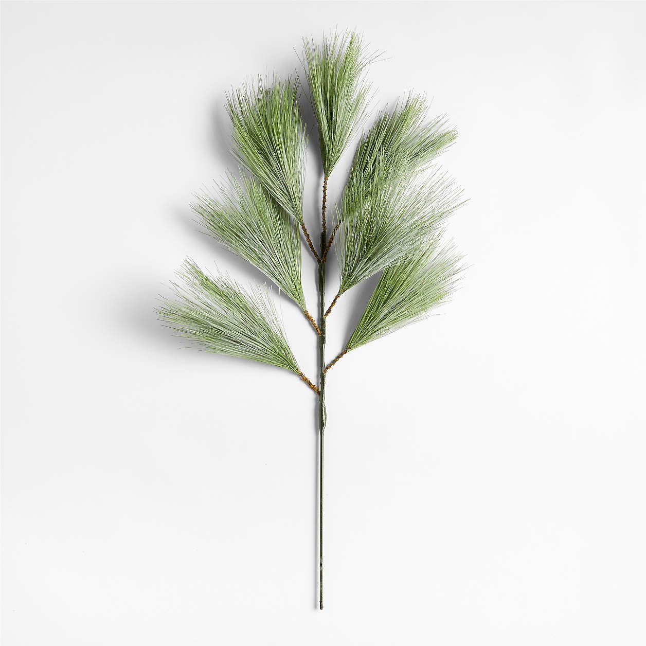 Faux Long Needle White Pine Stem 24" | Crate and Barrel | Crate & Barrel