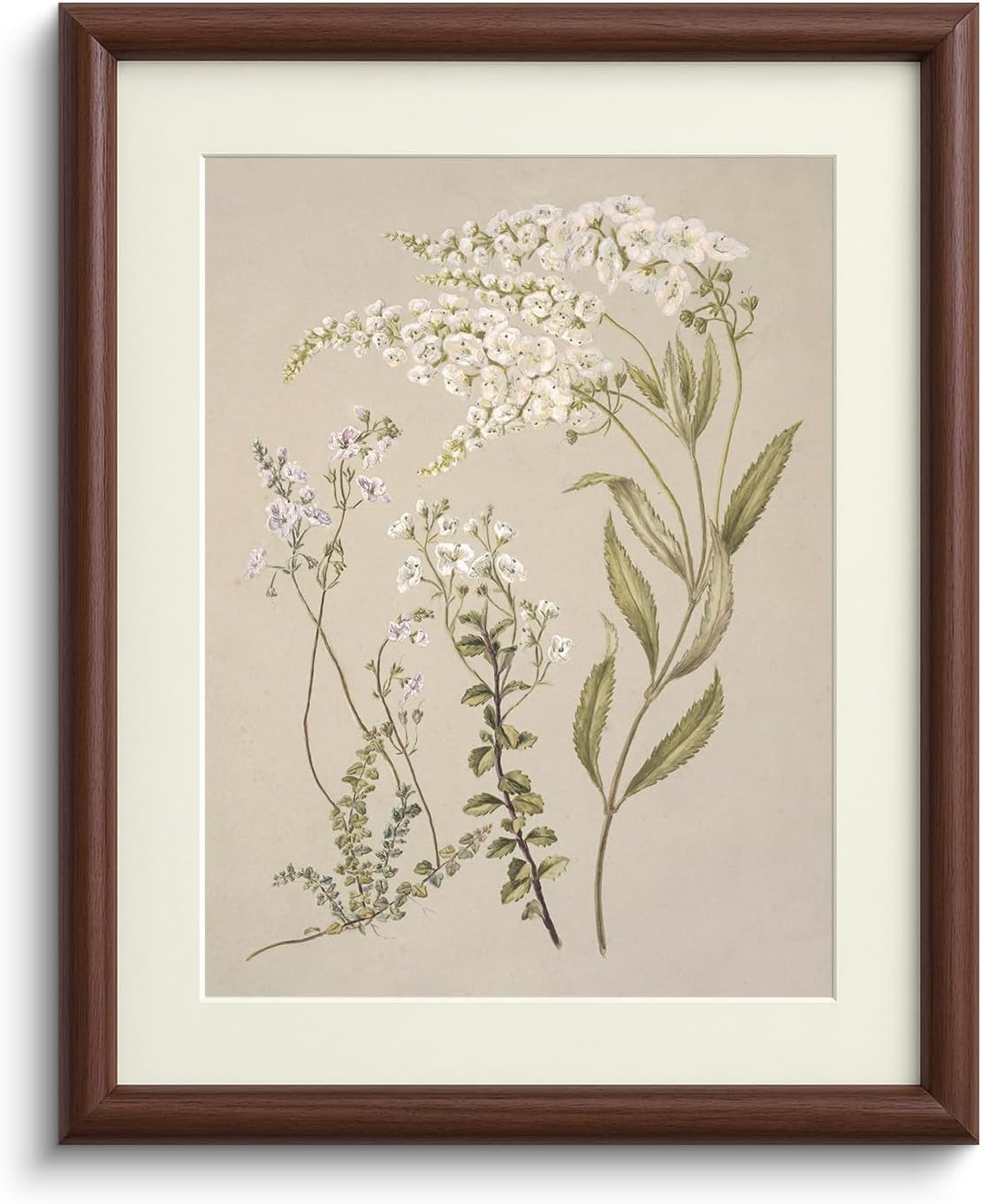 InSimSea Brown Framed Canvas Wall Art with Mat, Vintage Botanical 11x14 In | Amazon (US)