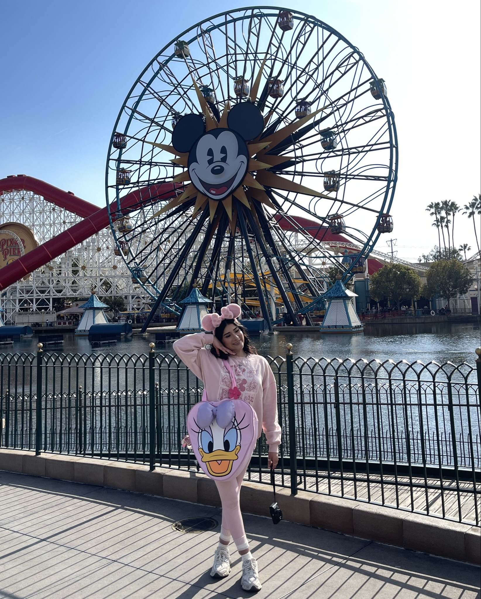 LOVE MY DAISY TOTE BAG FROM DISNEY💕🎀🦢🏰

#LTKU #LTKSaleAlert #LTKFindsUnder50